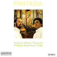 Sonata in C-moll: IV. Marcia - Branimir Slokar & Wolfgang Wagenhäuser