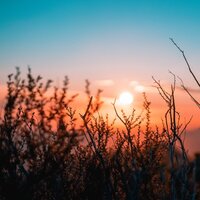 Finding Calmness - The Relaxing Sounds of Swedish Nature & Asian Zen Spa Music Meditation & Heavy Rain Sounds