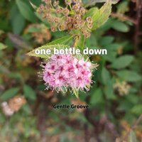 happen - Gentle Groove