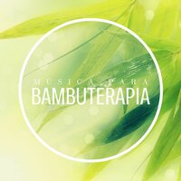 Verdadera Experiencia de Spa - Armonia Florez