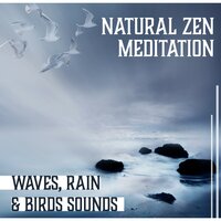 Yoga Nidra: Mind Body Connection - Mindfulness Meditation Unit