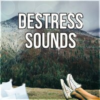 Study Relaxation - Relieve Stress Music Academy