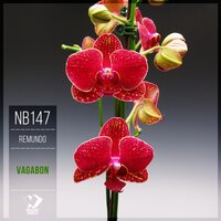 Bonne energie - Remundo