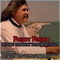 Silver Wings - Freddy Fender
