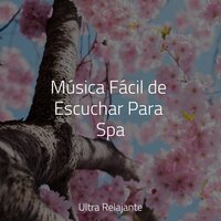 Sueños De Chocolate Caliente - Zona Música Relaxante & Piano Suave Relajante & Sons da Natureza