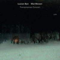 Retina - Lucian Ban & Mat Maneri