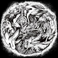 GLIDA - Dust