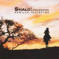 Guitarrero de la Orilla - Shalo Leguizamon