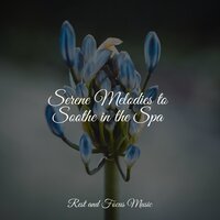 Nocturnal Slumber - Musica Para Dormir y Sonidos de la Naturaleza & Nature Sounds Nature Music & Deep Relaxation Meditation Academy