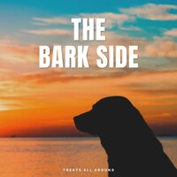 Kick Tail - Dog Sleep Academy
