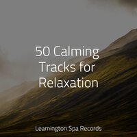 Deep Breathing - Tinnitus Aid & Active Baby Music Workshop & Massagem