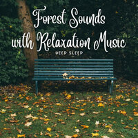 Thoughts Of My Heart - Natural Baby Sleep Aid Academy & Music For Sleeping and Relaxation & Sleep Music Legends