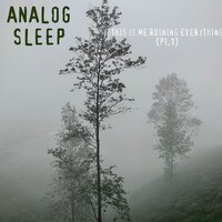 Now We've Lost - Analog Sleep