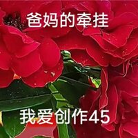爸妈的牵挂 - 我喜欢创作 & 网易天音