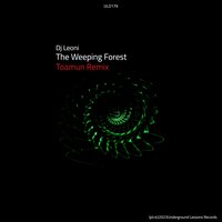 The Weeping Forest - Dj Leoni & Toamun
