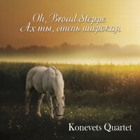 I go out on a road / Выхожу один я на дорогу - Konevets Quartet