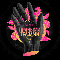 Пряными травами - Dante