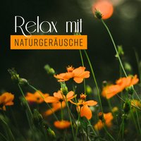 Schlafmeditation: Leichter Regen - Einschlafen Akademie