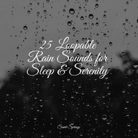 Rainy Night - Rain Sounds For Sleep & Thunderstorms & Nature Sounds Nature Music