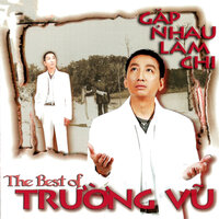 Bông cỏ may - Trường Vũ
