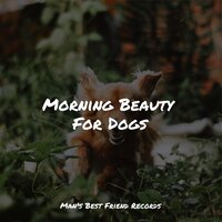 Massage Music - Jazz Music Therapy for Dogs & Sleeping Music For Dogs & Jazz Music for Dogs
