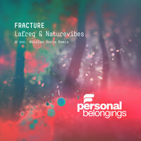 Reflections - Lafreq & NatureVibes