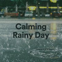 It's Raining Outside, Pt. 7 - Relaxing Rain Sounds