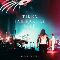 Africain à Paris - Tiken Jah Fakoly