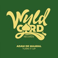 Turn It Up - Adam De Maaral