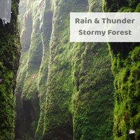 Ambient Storm - Rain & Thunder