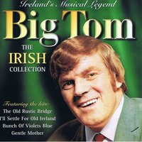 THE CARROLL COUNTY ACCIDENT - big tom & The Mainliners & Big Tom And The Mainliners