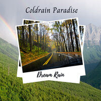 Dreaming of the Rain - Rain Sounds & Nature Sounds & The Sound of the Rain & Rain Wonder