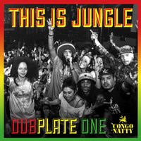 Get Wild - Congo Natty & Sweetie Irie