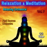 Dreamer - Paul Reeves Orchestra