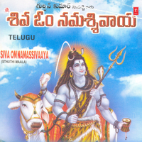 Namassivaaya Sivaaya Namaom - Partha Saradhi