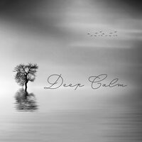 Calm & Chilled - Sarah Samadhi