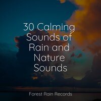 Tropical Forest, Subtle Stream, Animals - Thunderstorms & Ambient Nature White Noise & Ambient Music Therpy