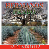Para Que - Hermanos Prado