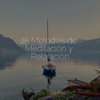 Momento Zen - Sonidos De Lluvia y Tormentas & Academia de Música con Sonidos de la Naturaleza & Canciones de Cuna para Bebés Acadèmico