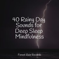 Forest, Light Rain, MIdday - Academia de Meditação Buddha & Rain Sounds Rain & Massage Music