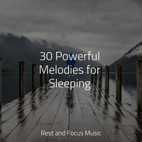 Gems of Tranquility - Ambient Music Therapy & Sleepy Night Music & Classical Study Music