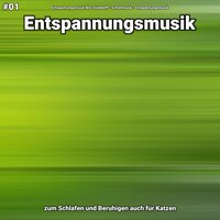 Entspannungsmusik Teil 24 - Entspannungsmusik Nils Stieldorff & Schlafmusik & Entspannungsmusik