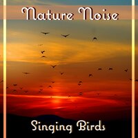 Butterfly Sleeping - Calm Singing Birds Zone