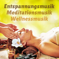 Freunde - Entspannungsmusik & Meditationsmusik & Wellnessmusik