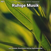 Ruhige Musik pt. 34 - Entspannungsmusik Sebastian Noiro & Schlafmusik & Entspannungsmusik