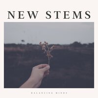 Adventuria - Plant Music