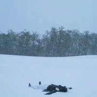十二月 - 张鲜