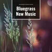 Bluegrass Sounds - Bluegrass Country Band