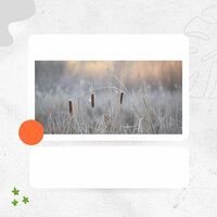 Ballad Jazz Soundtrack for Enjoying Nature - Jazz Playlist