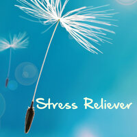 Calm Evening - Stress Relief